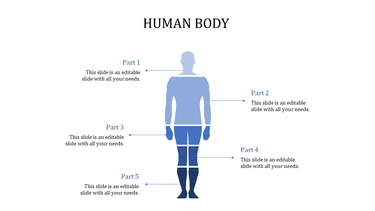 human body powerpoint template-human body